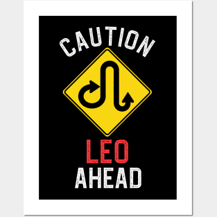 Funny Zodiac Horoscope Leo Road Sign Traffic Signal Posters and Art